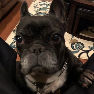 Meet your Posher, Greg